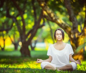 开云体育登录-范戴克，当沉默巨人接管比赛，爱尔兰速胜埃及的隐喻在欧冠回响