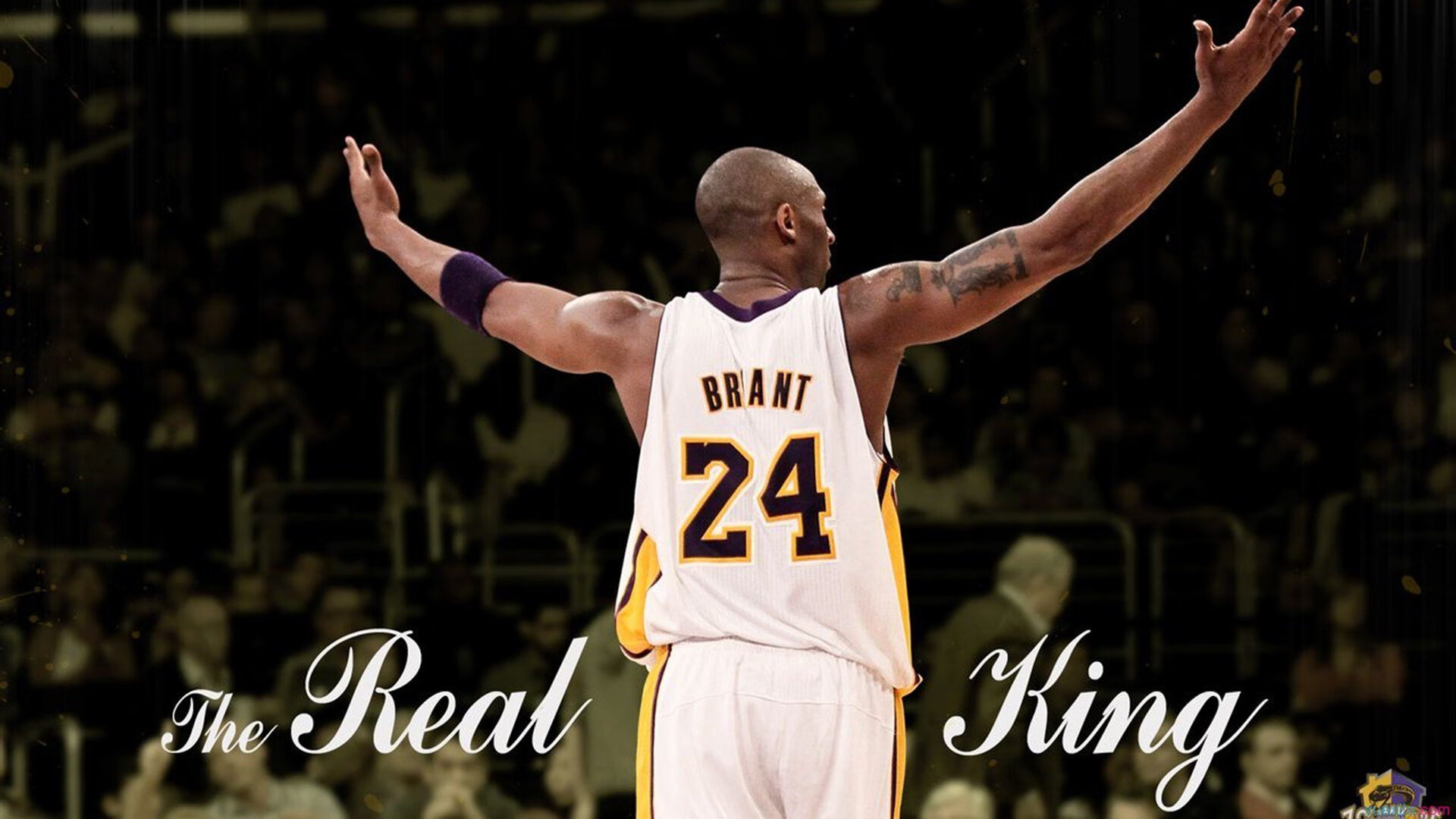 深圳队对阵尼克斯，莫兰特数据全面爆炸，当东方铁壁遭遇美式狂飙